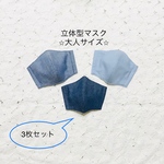 立体マスク（大人サイズ）