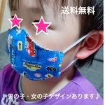 キッズ　選べる2枚セット　立体マスク　フィルターポケット付き　男の子　女の子　ノーズワイヤー　子供