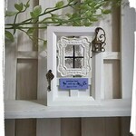 b様ご依頼品★*鍵 鳥かご付 妖精のドア ミニ ドア attractive インテリア 雑貨★:*・