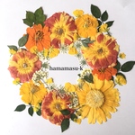  sale【押花素材95】バラ　ガーベラ　キバナコスモス　菜の花　