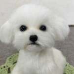 羊毛フェルト　犬　マルチーズ