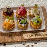 【再販】palm miniature＊フルーツミニタルトセット