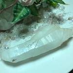 希少レムリアンシード(中)