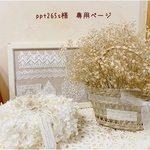 ＊ppt265s様　専用ページ＊