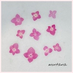 No.3 押し花　〜 紫陽花