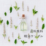 【送料無料】2019福袋 花材詰め合わせ⑤