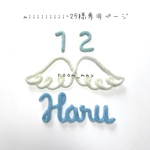miiiiiiiii-25時専用ページ