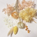 花材セット　イエロー＆オレンジ　ハーバリウム　