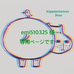 emi510325 様専用ページです