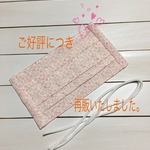 再販【送料無料】洗える大人用 マスク キット