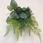 ウォールグリーン　ボックス③