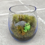 苔テラリウム カエルくん グラスブルーバージョン