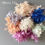 紫陽花　プリザーブド　⚫︎13g ⚫︎7色mix