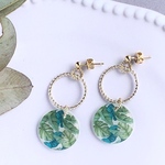 サークルピアス/イヤリング　モンステラ