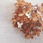 送料無料✴︎アレルギー対応✴︎再販2♡silver 立体 蝶々M♡ピアス・イヤリング