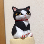 はちわれ猫