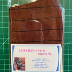 【即納品可能】会津木綿立体マスクポケット付き(若草)