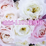 akki-1101様専用