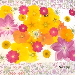 ♡new♡  ♡可愛い押し花セット♡ ♡使いやすい少量の押し花セット♡