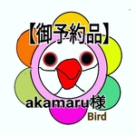 【御予約品】akamaru様