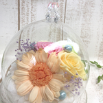 ビタミンカラー元気になるお花のラビットドーム♡