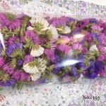 ♡new♡ ♡作家様必見♡ ♡スターチス　ドライフラワー♡