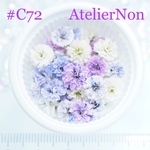 #C72かすみ草_薄紫ミックス
