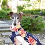 セシル様アメリ様専用カート🛒『浴衣生地👘紫陽花』