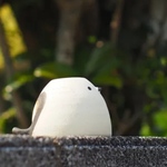 シマエナガさんのカップ④