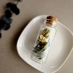 【再販売】植物標本　Botaical Collection■No.29　ミニバラ　イエローグリーン  エ･クレール