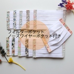 フィルターポケット付き ノーズワイヤー出し入れ可 リバティプリーツマスク夏用✩.*˚