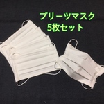 5枚set【送料無料】普通サイズ　プリーツマスク　白