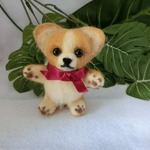 チワワのシュウ　赤いリボン