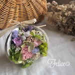 インテリアに最適！【幸せの実】ホワイト　ブッダナッツ