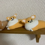 コーギー2匹組み