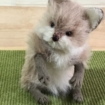 おでかけちゃんキツネ　茶色短毛