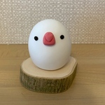 白文鳥　ホワイトA