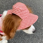 犬用帽子ハット　レッドギンガムチェックハット新作