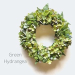 玄関.お部屋のインテリア♪グリーン紫陽花とグリーンの実の紫陽花リースリース台20cm