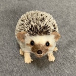 【オーダー】お客様 専用ページ 羊毛フェルト ハリネズミ