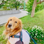 🛒TABATHAちゃん専用カート🛒