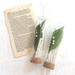 【送料無料】 植物標本 すずらんのフラワーボトル ギフト ガラスボトル