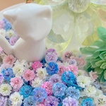 かすみ草ドライフラワー