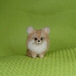 チワワ レッド 羊毛フェルト
