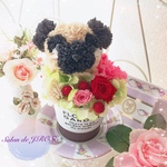 パグ プリザーブドフラワー
