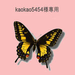 kaokao5454様専用ページ