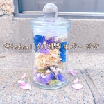 totomi1001様専用ページ