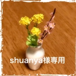 ミニチュア菜の花と桃の花🌸