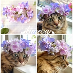 ペットねこ、犬アジサイ花冠花かんむり被り物フラワークラウンボリューム増加ver