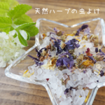 【アロマ虫よけ】天然ハーブのナチュラルな虫よけ＊インテリアにも♡
